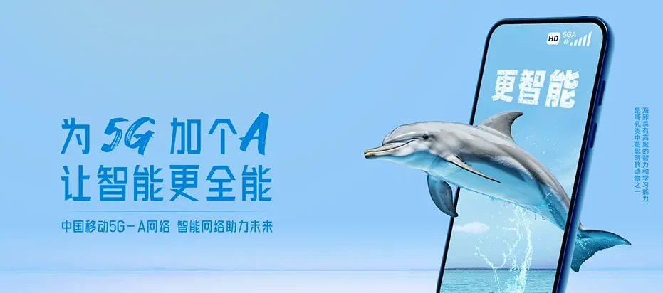 秀屿区秀屿区东埔镇 移动宽带